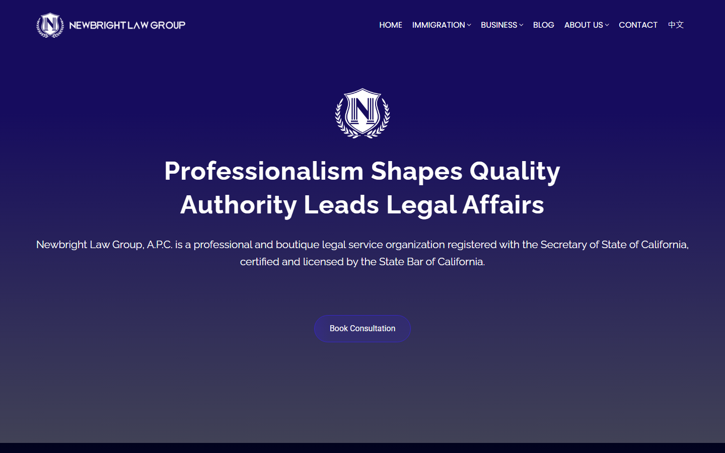 Newbright Law Group 官网视觉展示