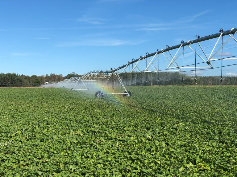 Zhonghui Irrigation 官网视觉展示